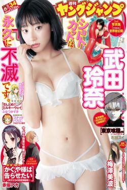 里德尔