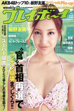 能出没