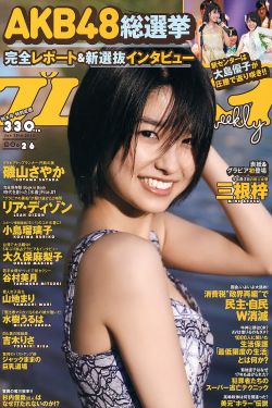 国土安全第三季