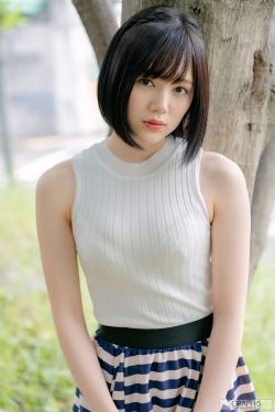 兰陵王 电视剧