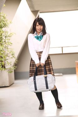 楚氏赘婿