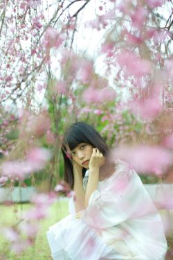 又见白娘子